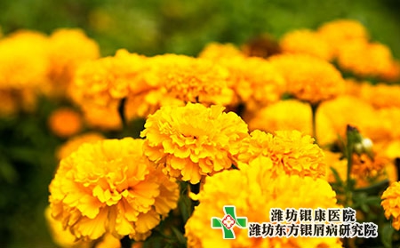 如何判断是不是牛皮癣?吃什么比较好?
