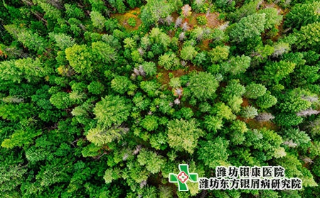 【潍坊牛皮癣医院】二月二，牛皮癣饮食健康