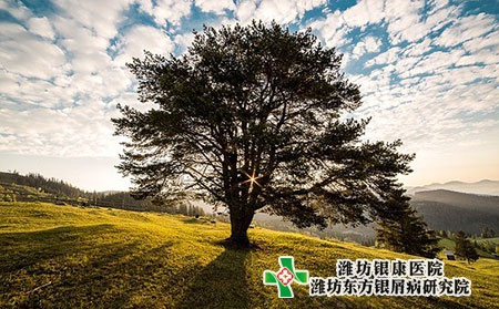 潍坊奎文银屑病医院春分时节预防保健指南