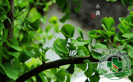银屑病养生