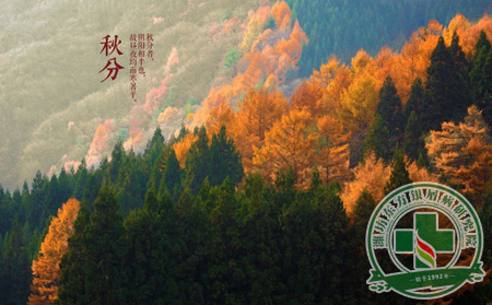 潍坊银屑病医院患者秋分治疗前后不应忽略这些禁忌